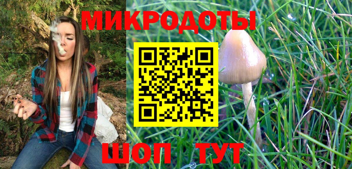 Псилоцибиновые грибы ЛСД Елизово